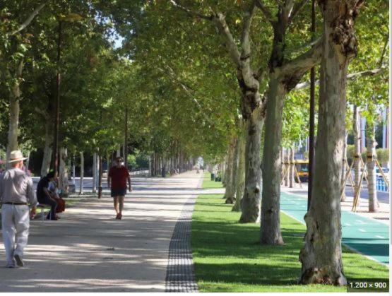 Alleanza, Aires De Guadalquivir Sewilla Zewnętrze zdjęcie